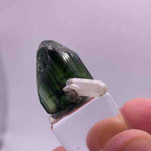 
            
                Load and play video in Gallery viewer, Newry, Maine Tourmaline w/ Quartz
            
        